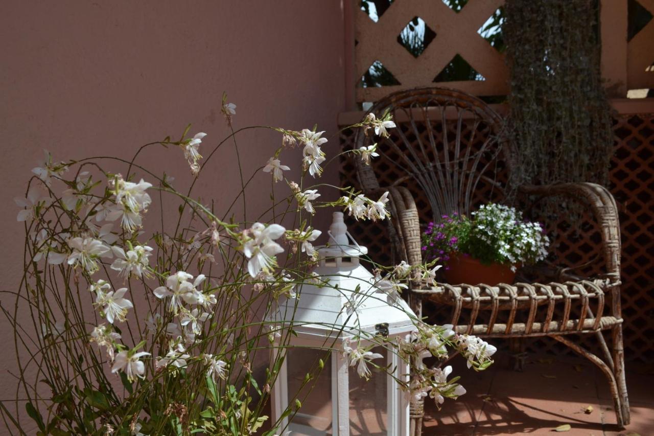 Bed & Breakfast Into The Wild Green Alghero